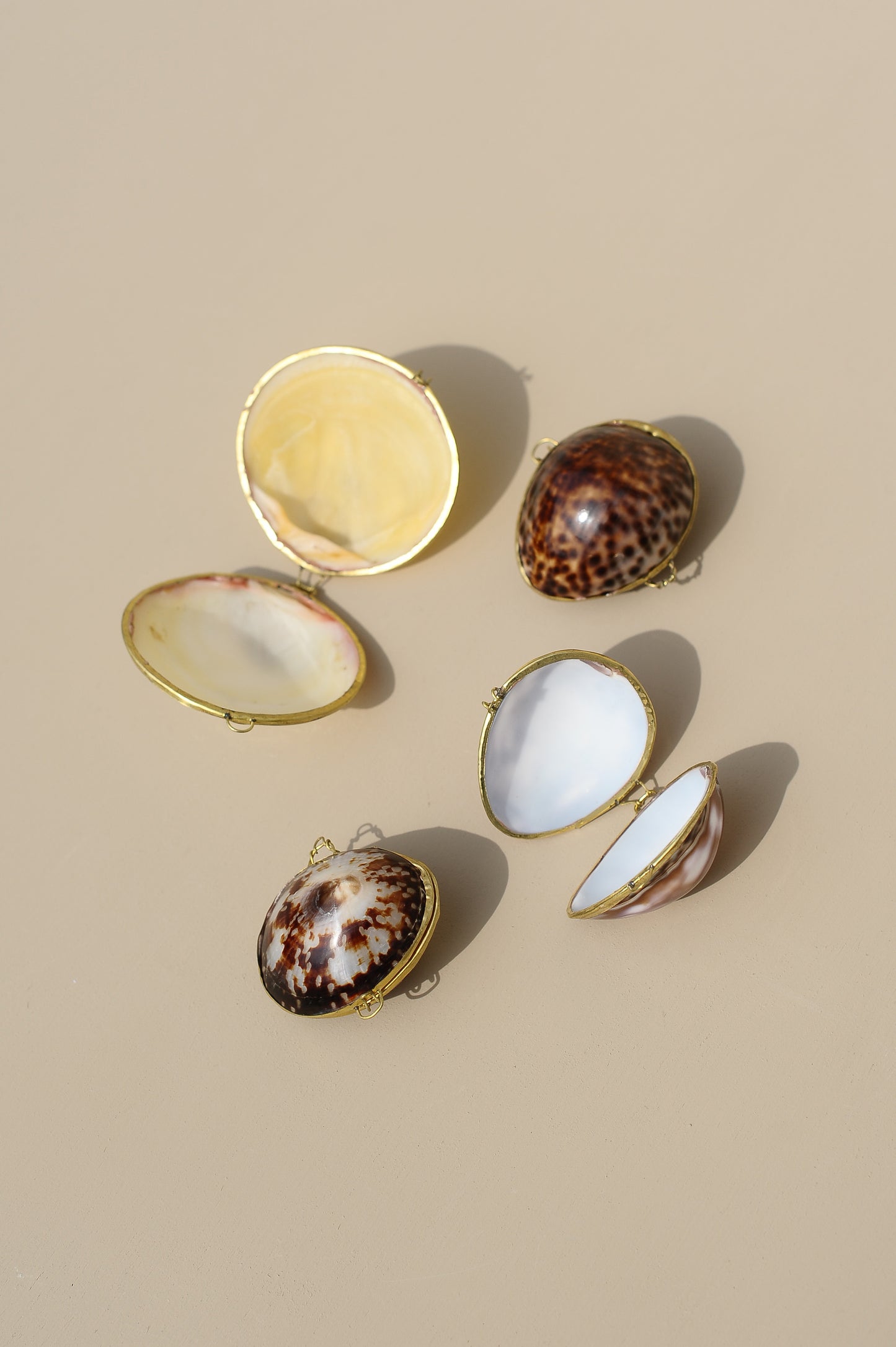 Porta-moedas em Concha e Metal