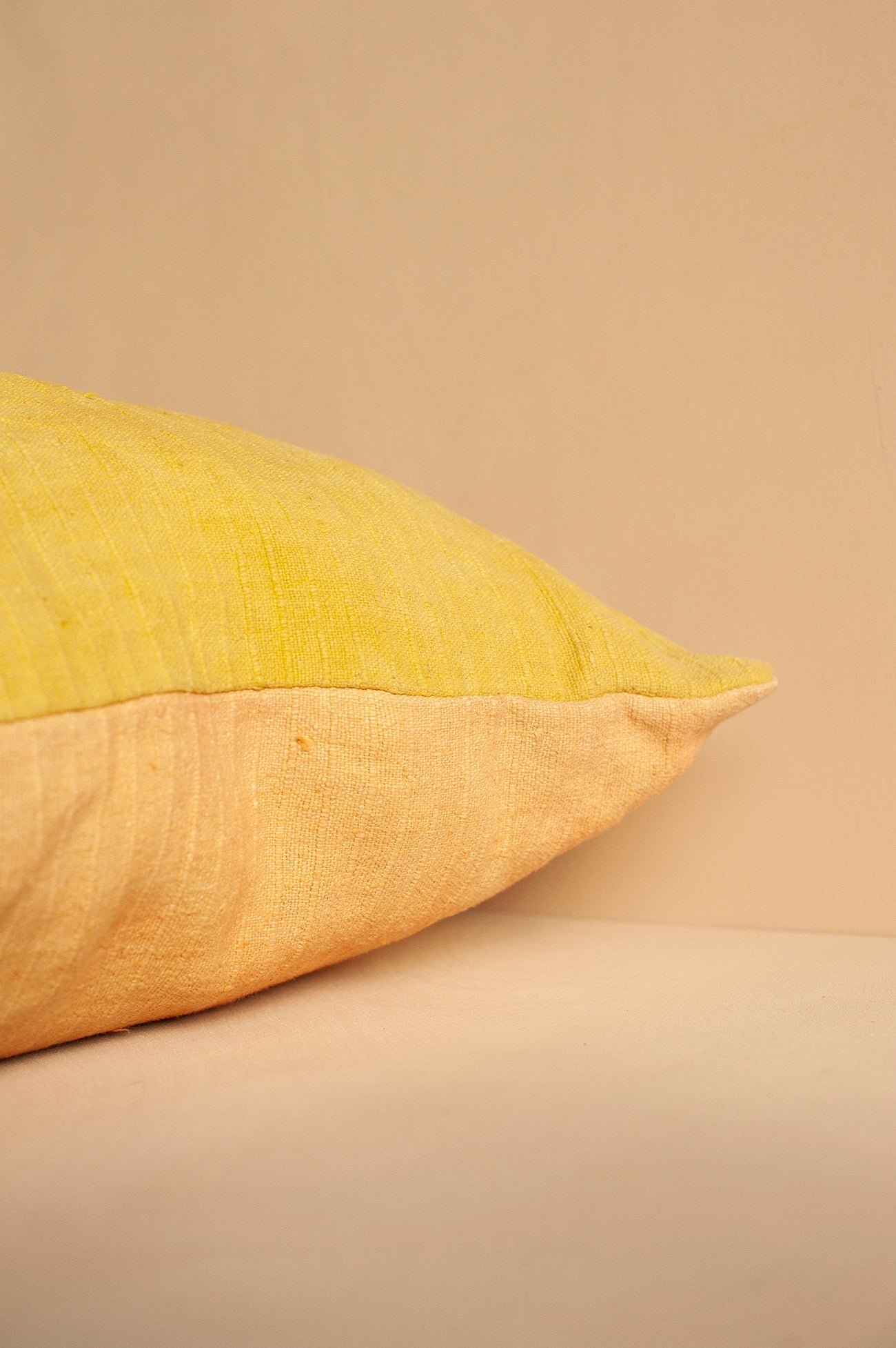 Almofada Flórida x Hanna Deutscher