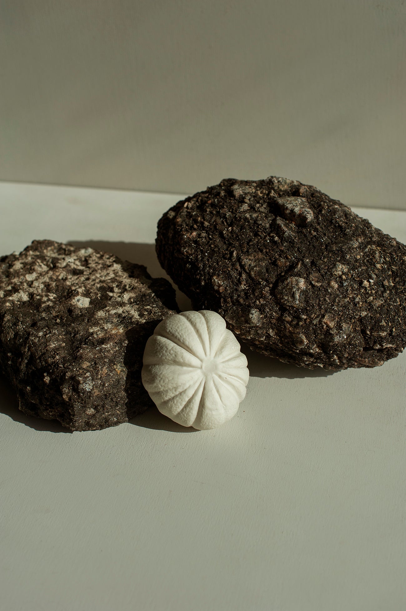 Laranja em Porcelana - Fernando Sarmento