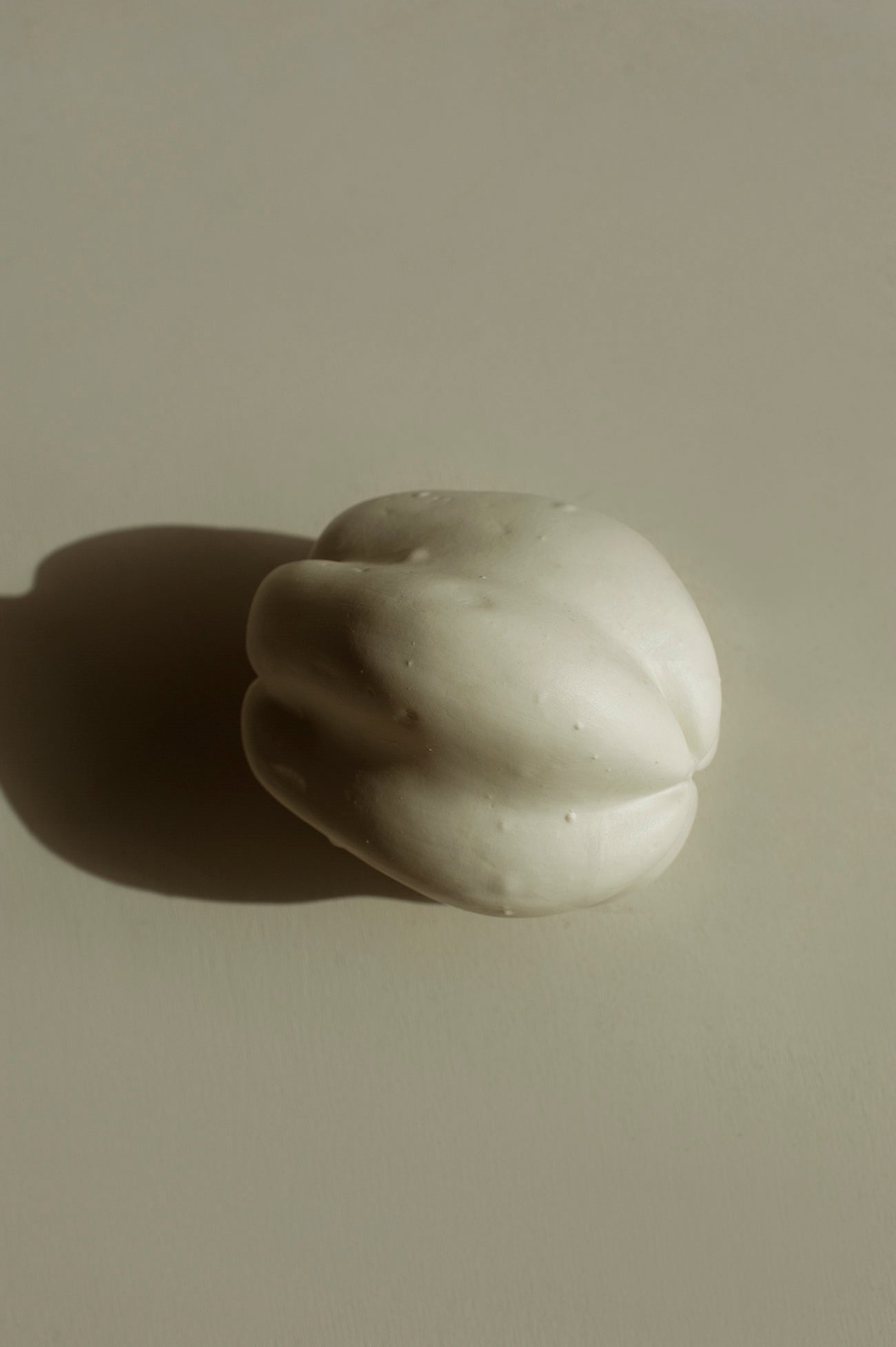 Papaya em Porcelana - Fernando Sarmento