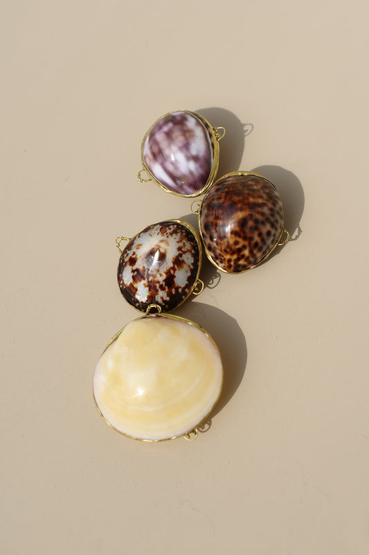 Porta-moedas em Concha e Metal