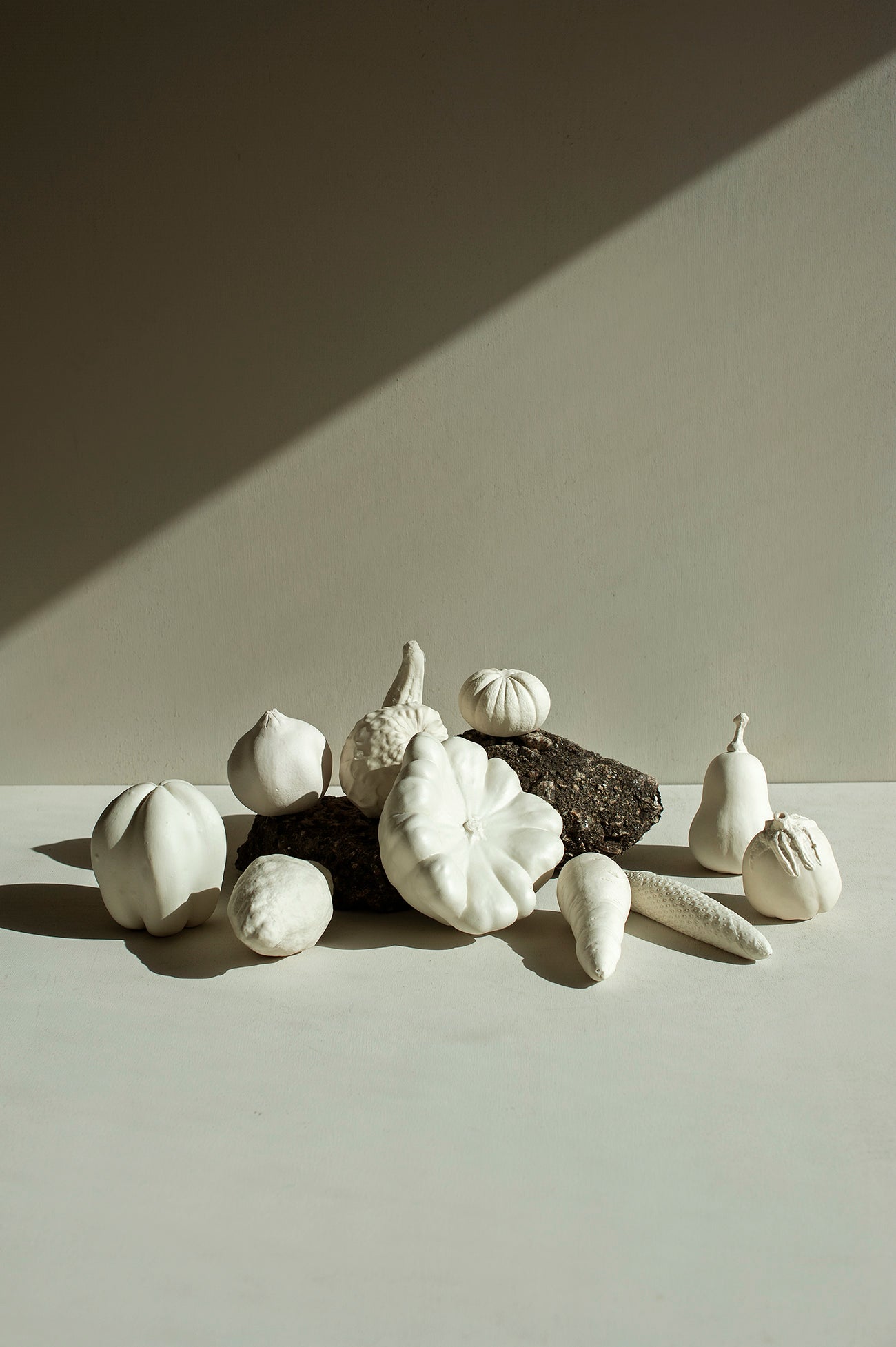 Papaya em Porcelana - Fernando Sarmento