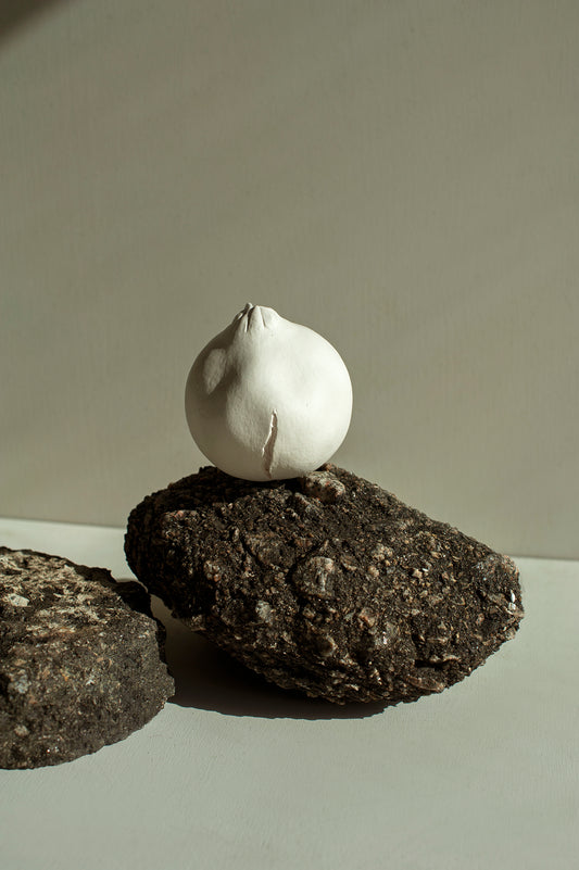 Romã em Porcelana - Fernando Sarmento