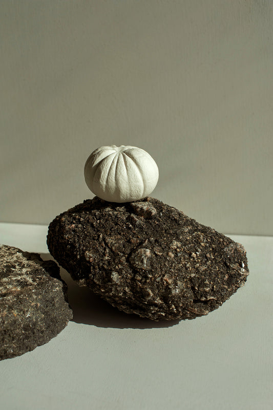 Laranja em Porcelana - Fernando Sarmento