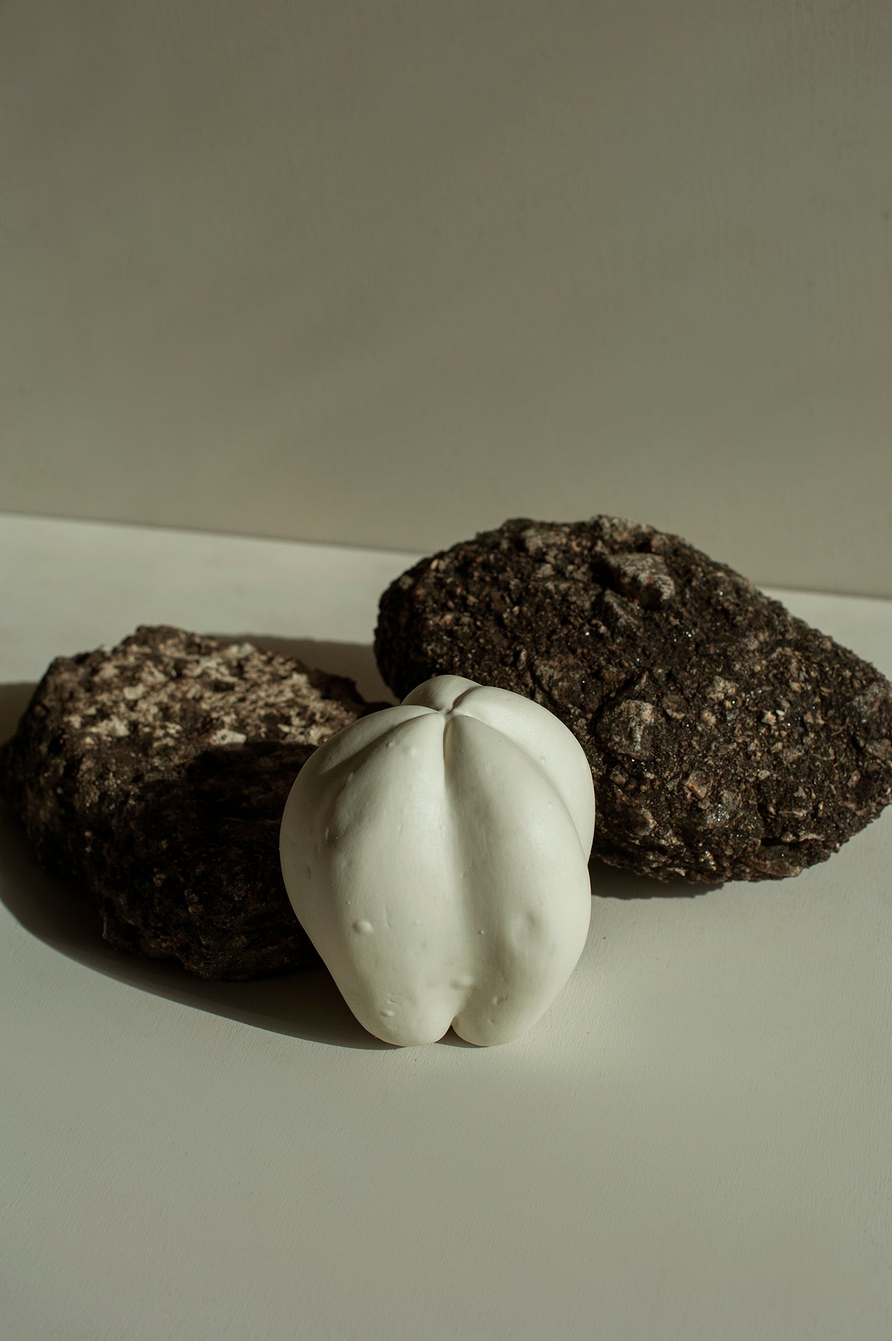 Papaya em Porcelana - Fernando Sarmento