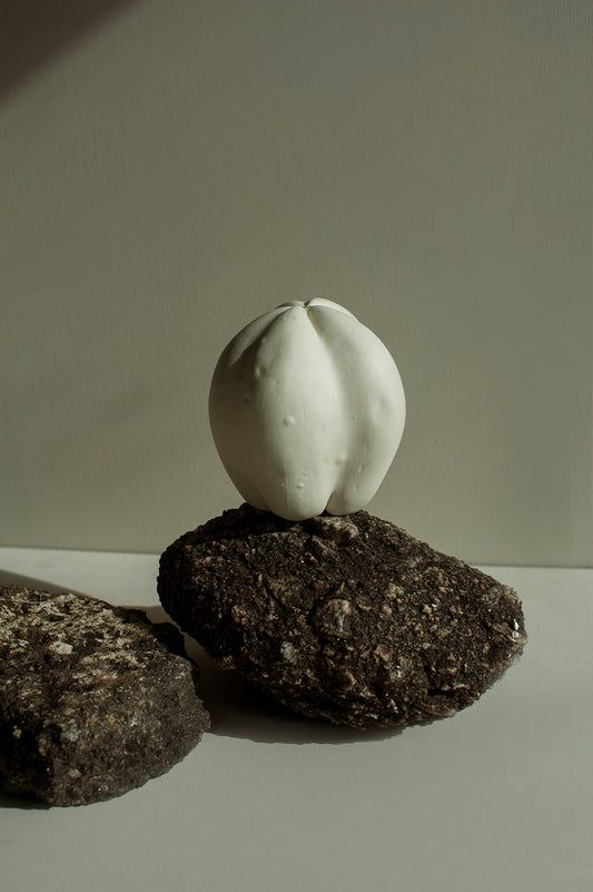 Papaya em Porcelana - Fernando Sarmento