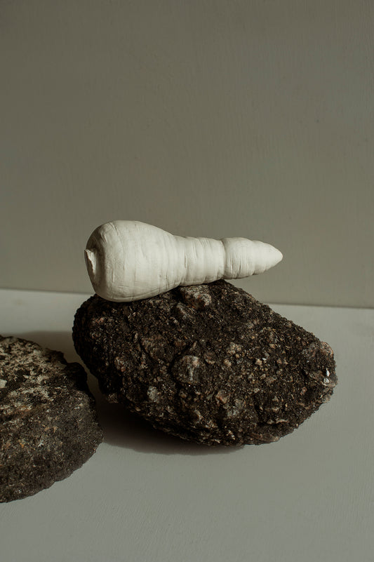 Cenoura em Porcelana - Fernando Sarmento