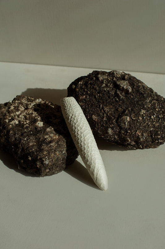 Courgete em Porcelana - Fernando Sarmento