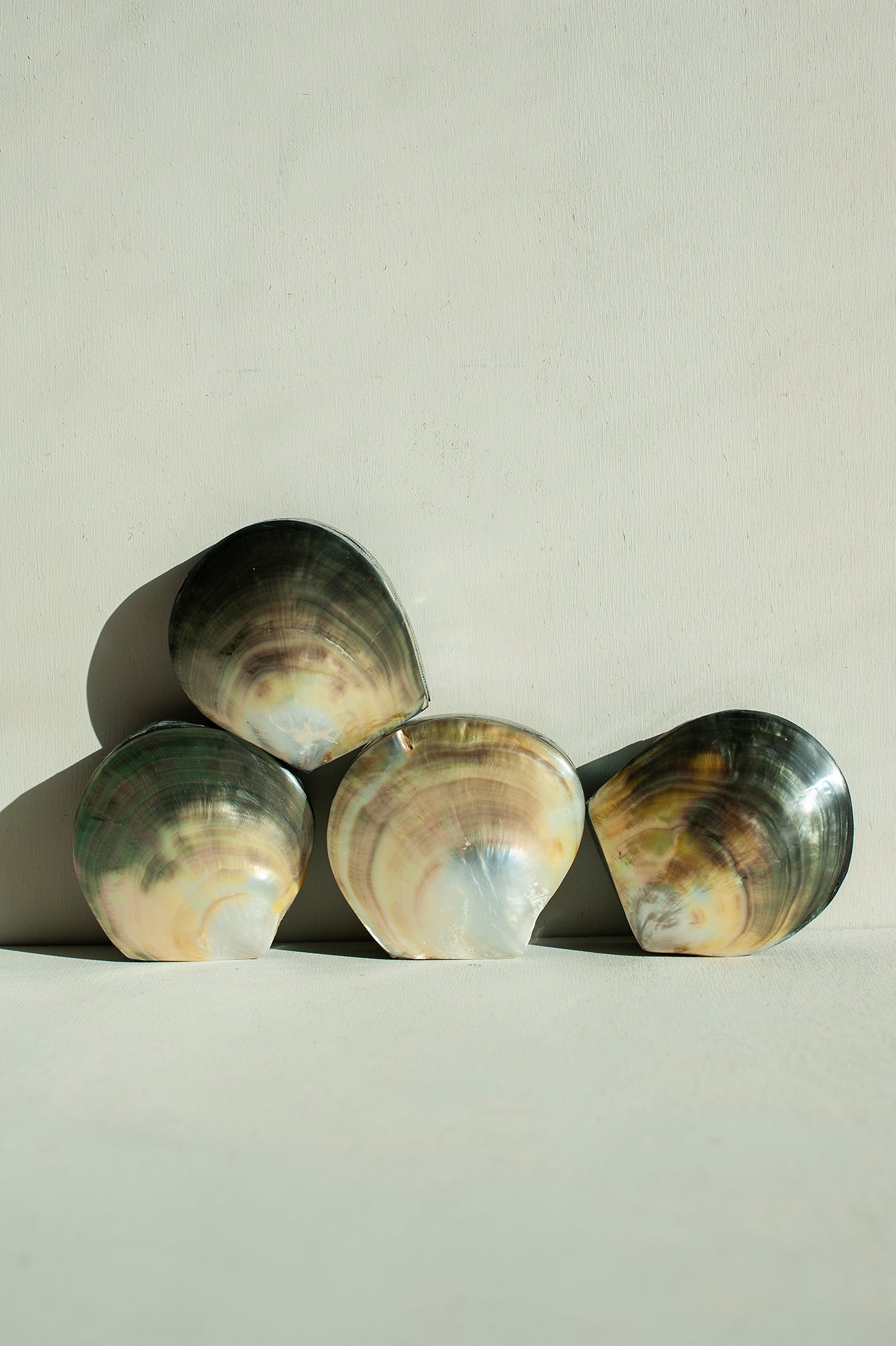 Caixa em Madrepérola e Veludo