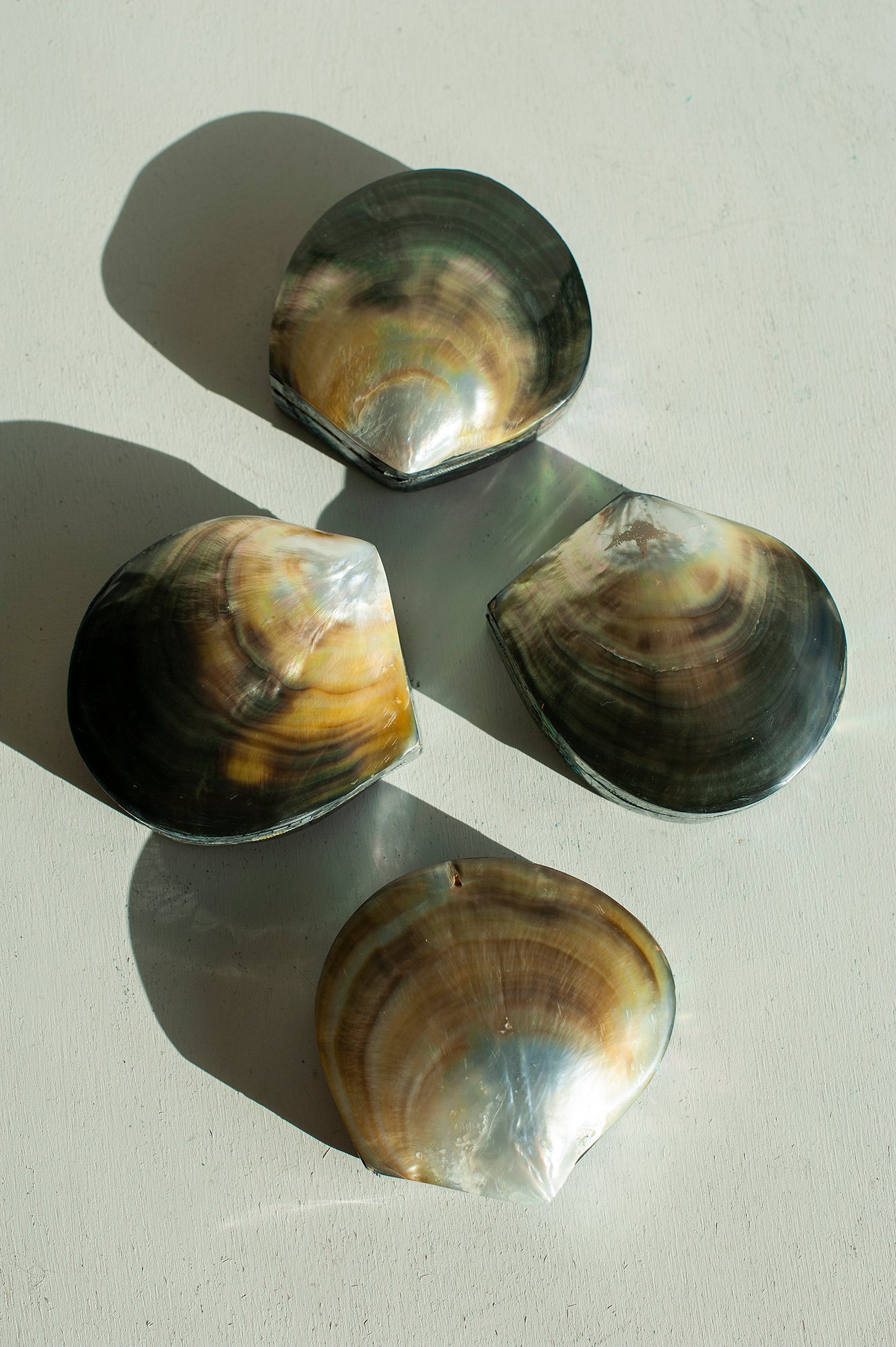 Caixa em Madrepérola e Veludo