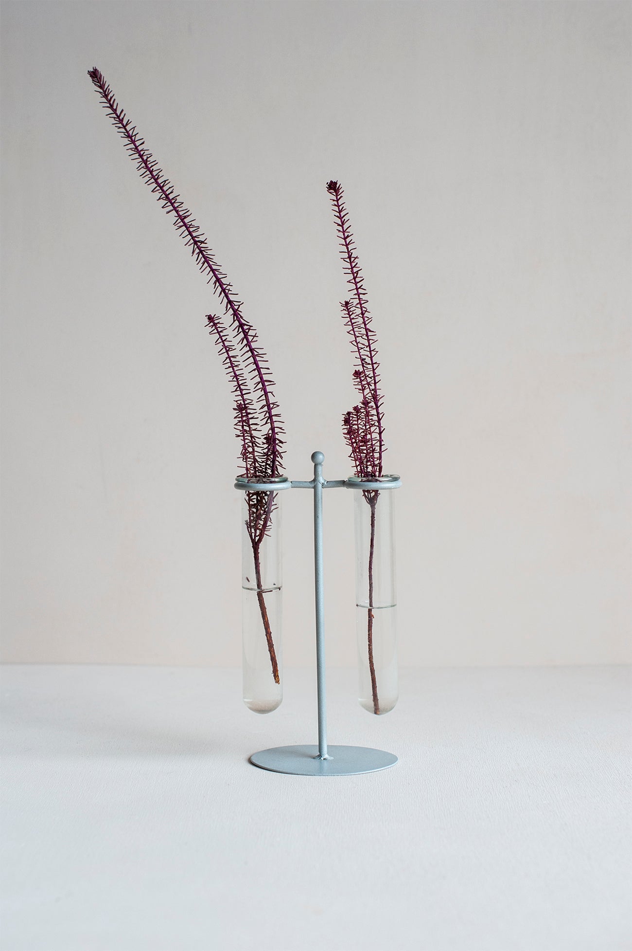 Suporte de Laboratório