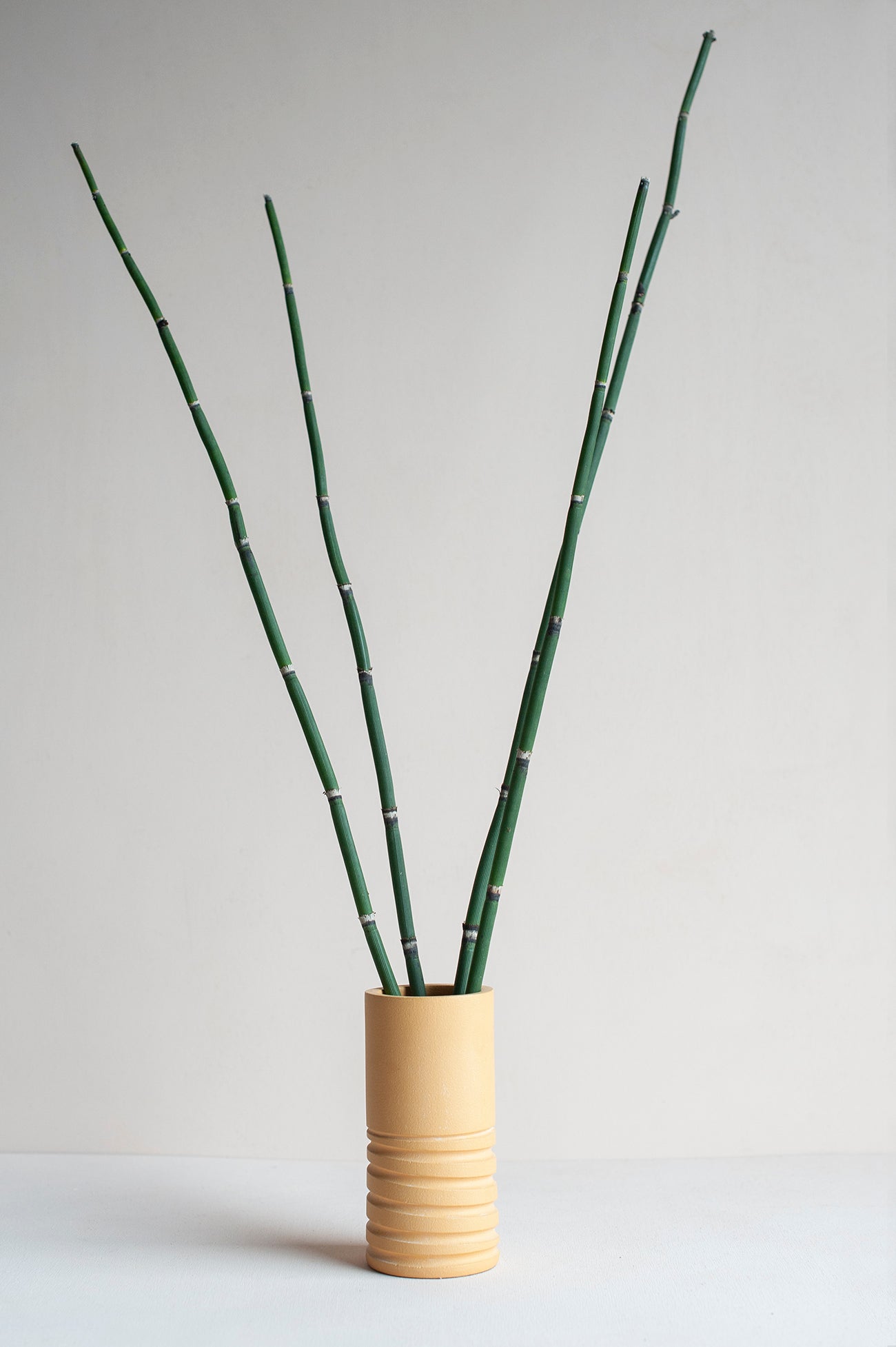 Jarras - Laurentina Pinheiro